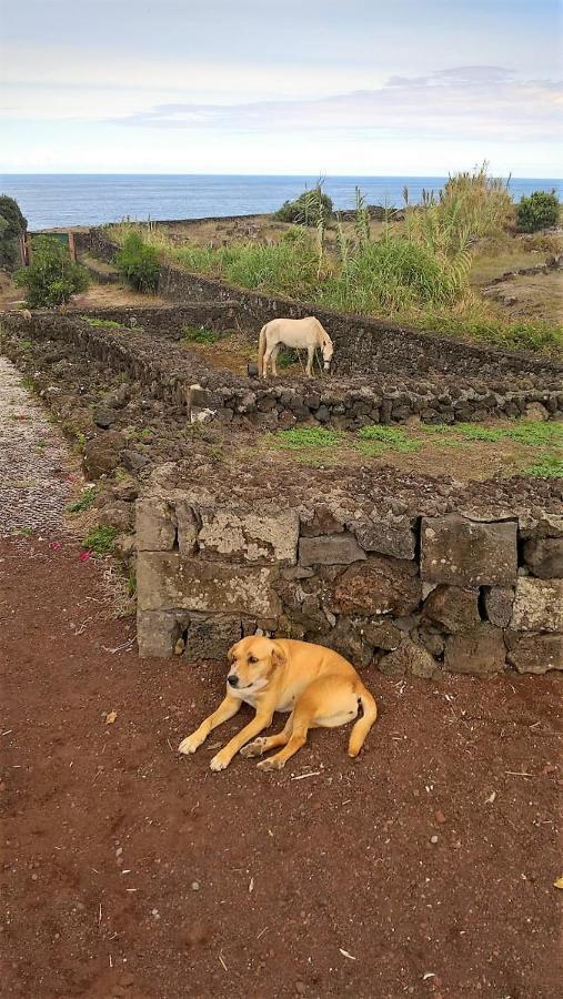 Quinta Da Falesia - Casa Branca Ponta Delgada Eksteriør billede