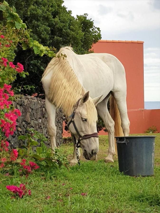 Quinta Da Falesia - Casa Branca Ponta Delgada Eksteriør billede